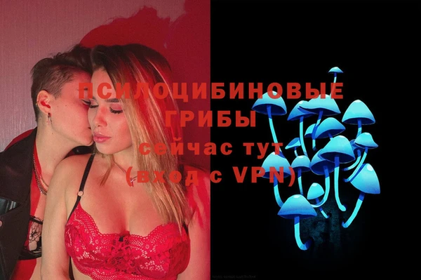 гидропоника Белокуриха