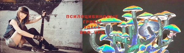 гидропоника Белокуриха