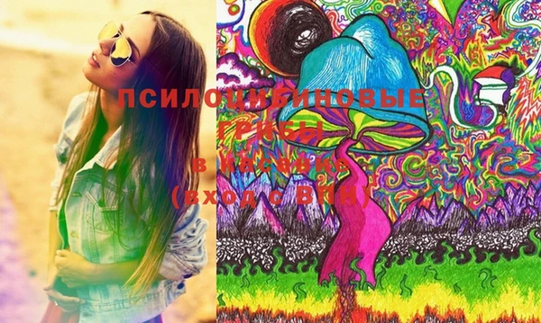 гидропоника Белокуриха